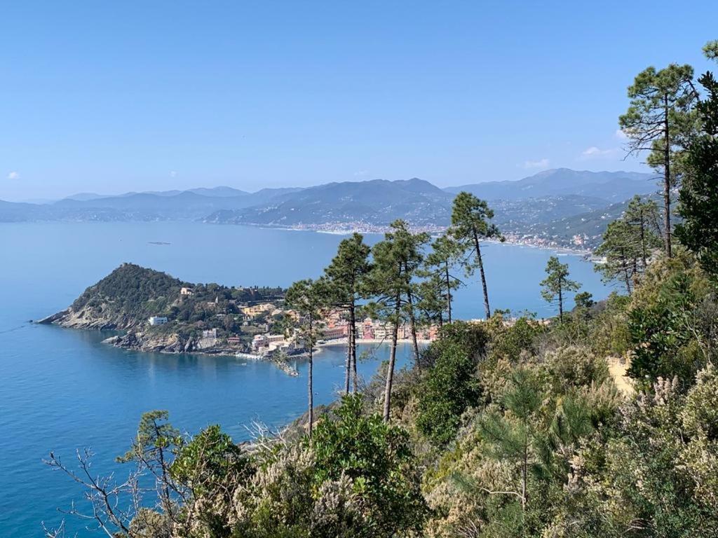 Villa La Pergola Dei Paggi Sestri Levante Exterior foto